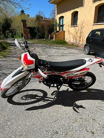 Beta RR 50