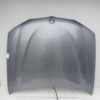 41617267337 COFANO ANTERIORE BMW X3 (F25) 2.0 D 16