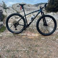 specialized epic ht sworks