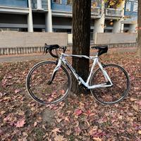bici corsa pinarello F3:13