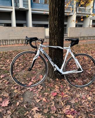 bici corsa pinarello F3:13