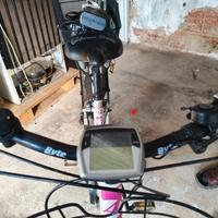 bicicletta elettrica 