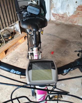 bicicletta elettrica 