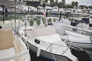 Barca Guzzo con motore 50 cavalli sanza patente en