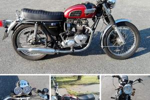 Triumph Altro modello - 1971