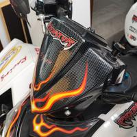 Cupolino Polaris Predator Outlaw