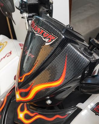 Cupolino Polaris Predator Outlaw