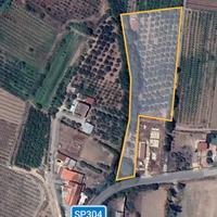 Terreno con Uliveto e annesso Capannone agricolo