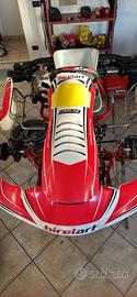 Birel S18