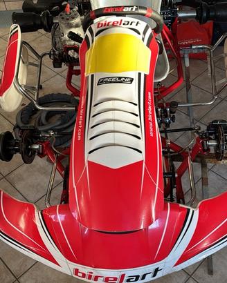 Birel S18