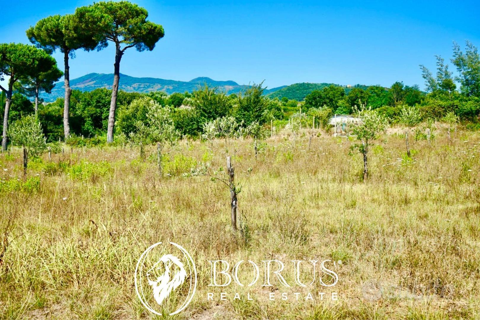 Terreno Agricolo - Sessa Aurunca - Vista 2