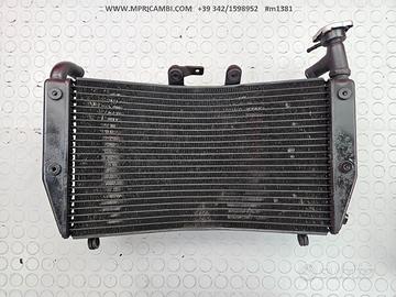 RADIATORE ACQUA TRIUMPH TIGER 1200 Explorer 2011 2