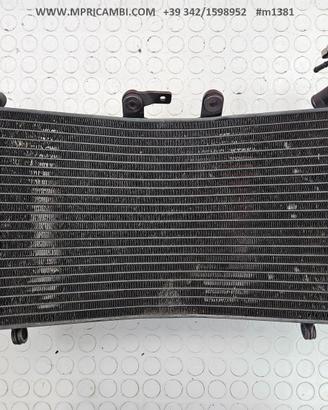 RADIATORE ACQUA TRIUMPH TIGER 1200 Explorer 2011 2