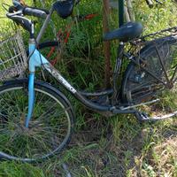 Bici tipo olandesina