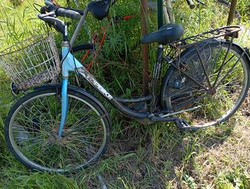 Bici tipo olandesina