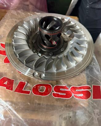 Correttore di coppia Malossi Tmax 560