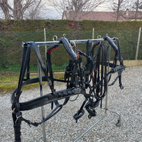 Finimento ungherese da Pariglia