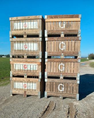 cassoni legno per stoccaggio legna 