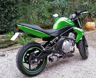 Special Titanium Roadsitalia Kawasaki ER6N ER6F