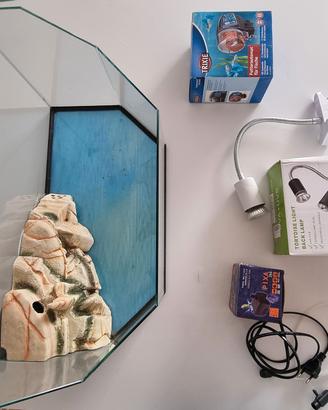 Kit completo per tartarughe d'acqua - Acquario