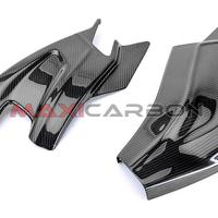 Cover forcellone carbonio BMW S 1000 R (17-20)