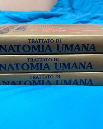 Libri