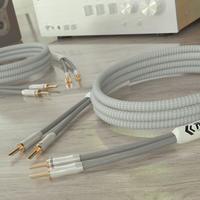 Ricable PS3 Primus Speaker 2 x 3 mt Cavo di Potenz