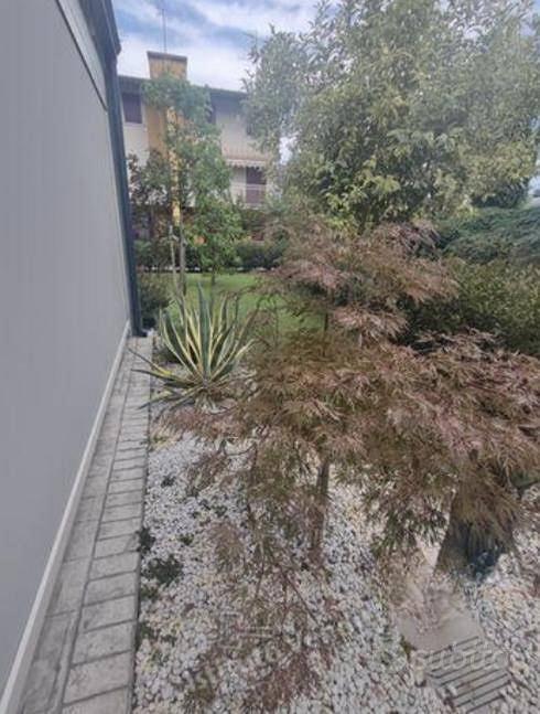 Appartamento – Lendinara, Caselle Provinciale - Vista 5