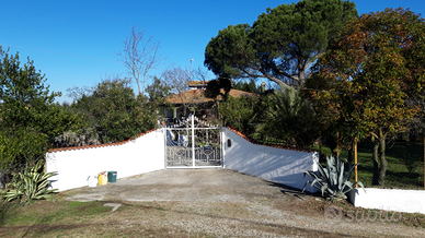 Villa singola a 20' da Roma nord