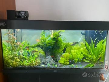 Piantine per acquari