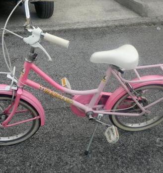 Bici marzano 16