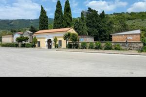 Terreno uliveto