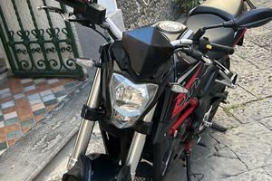 Benelli bn 251