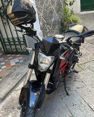 Benelli bn 251