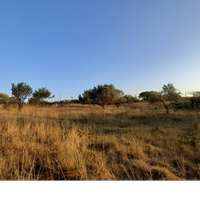 Terreno agricolo a Manziana 1,5ha