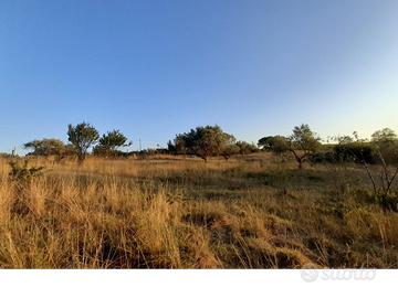 Terreno agricolo a Manziana 1,5ha