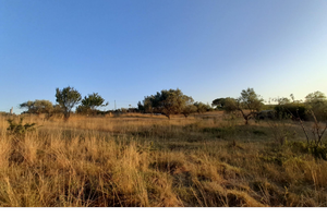 Terreno agricolo a Manziana 1,5ha