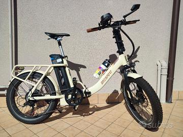 bici elettrica 