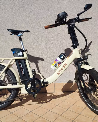 bici elettrica 