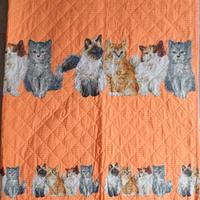 copriletti singoli con gattini
