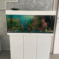 Acquario Juwel