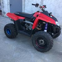 Quad polaris 500 2011