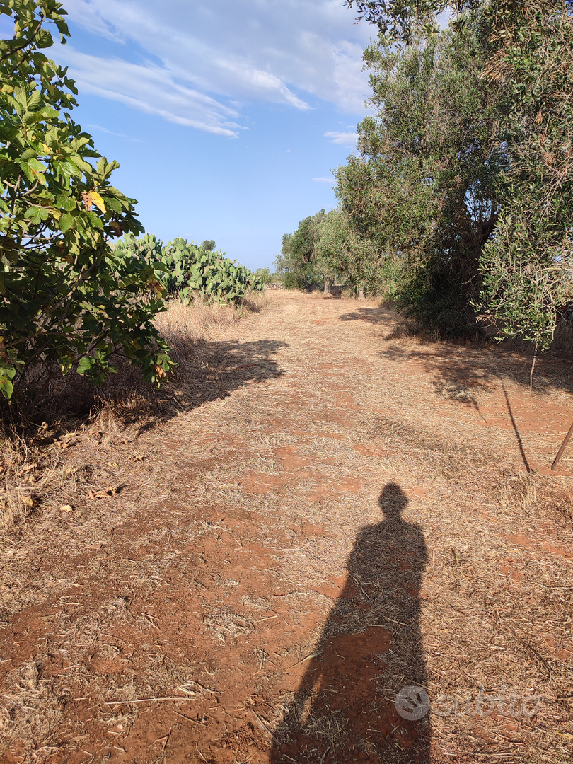 Terreno agricolo - Vista 5
