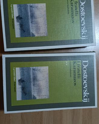i fratelli Karamazov 