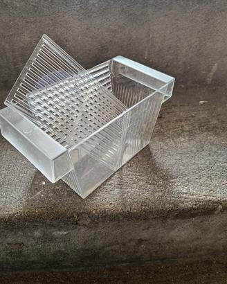 vaschetta nursery per avannotti