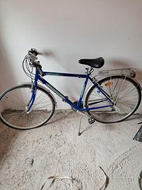 Bici da uomo