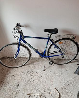 Bici da uomo