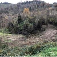 RGE 6/2022 - Tribunale di Urbino - Lotto 2