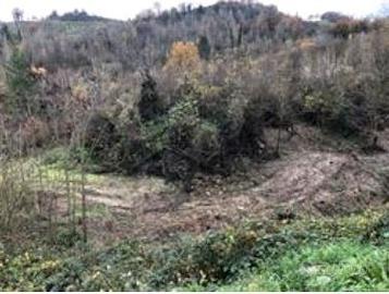 RGE 6/2022 - Tribunale di Urbino - Lotto 2