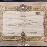 Pergamena di Laurea 1937 Regia Università di Parma
